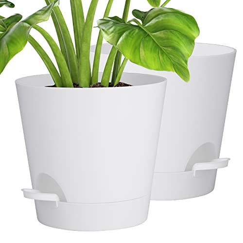 8 polegadas Vaso com prato, 2 frascos de plástico vasos decorativos interior com orifícios de drenagem, rega automática vasos para plantas flores, decoração de casa varanda jardim