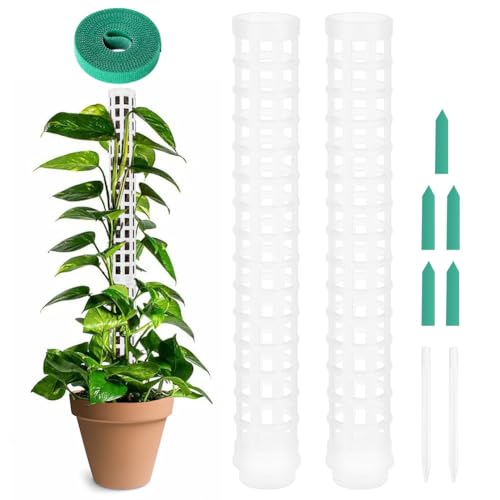 OFFCUP Varas de musgo, 2 peças Monstera Rankhilfe, com 5 etiquetas e 1 rolo de velcro, ajuda para plantas de interior de 50 cm, para plantação de jardim, hera e suporte (branco)