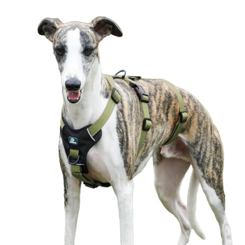 Paworld Arnês anti-fuga cão, arnês antipuxões cão, arnês para cão pequeno, ajustável, durável, respirável, sem estrangulamento, treino e passeio ao ar livre (verde, S)
