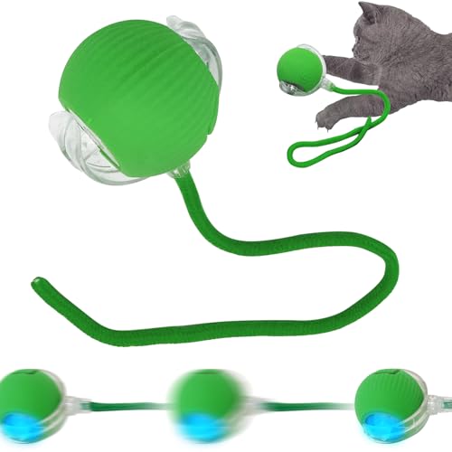 SORNEICDR Nova bola interativa para gatos, bola de brinquedo interativa de 360°, bola de rolamento automática inteligente para gato e cães (verde)