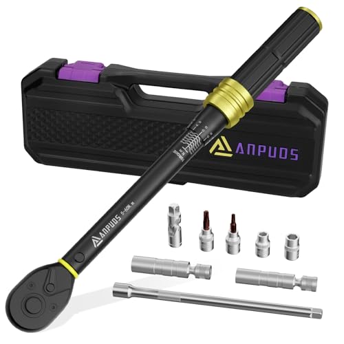 ANPUDS Chave dinamométrica 3/8", 72 dentes 5-60 Nm chave de torque, conjunto de chave dinamométrica com copos magnéticos, 3/8'' junta universal, extensão de 250 mm, Torx Bits, copos