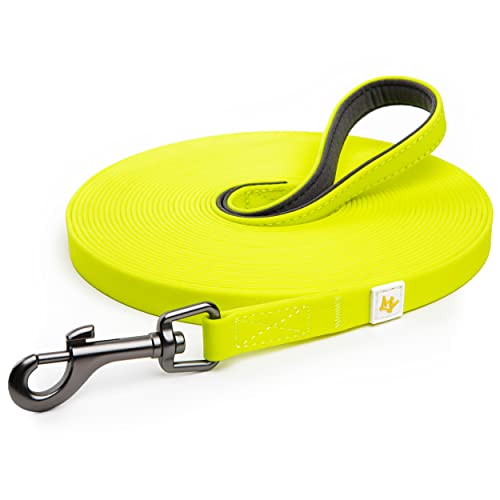 Rudelkönig Trela para cão de 10 metros - ideal para treino - trela longa cão resistente e resistente - trela cão treino