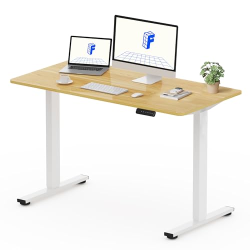 FLEXISPOT 120 x 60 cm mesa elétrica elevável com placa inteira, mesa levantável com retrocesso de camurça obstáculos, 4 funções de memória, Standing Desk para escritório, casa e teletrabalho (ácer)