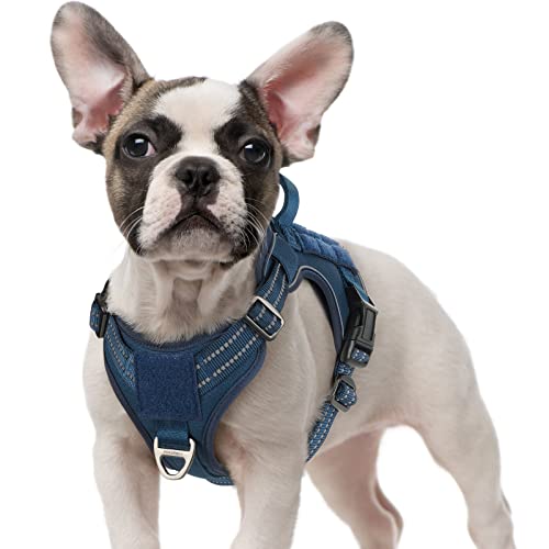 rabbitgoo Arnês antipuxões, arnês cão pequeno médio respirável, arnês tático cão ajustável com alça anéis e mola, colete durável refletor para treino, caminhar, caçar, azul S