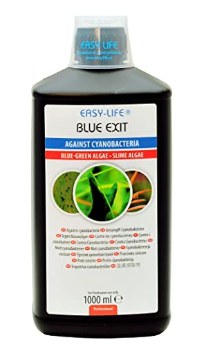 Easy Life BLU1000 Blue Exit tratamento contra cianobactérias em aquários de água doce, 1000 ml