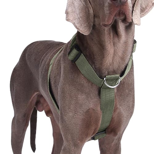 Arnês para cão médio e grande, arnês para cães peito antipuxões, arnês para cão colete acolchoado ajustável para adiesdireamento correr e caminhar (verde, M)