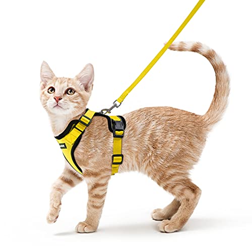 Rabbitgoo Peitoral para gatos e trela de 150 cm, ajustável, anti-puxões, confortável, material fácil de colocar e remover