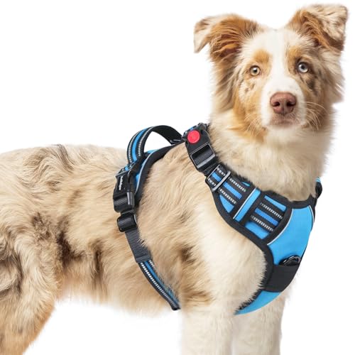 rabbitgoo Arnês médio para cão com 3 fivelas, libertação do pescoço, arnês ajustável com alça e clipe frontal, arnês antipuxões para cães refletor, para treino correr, azul leve, M