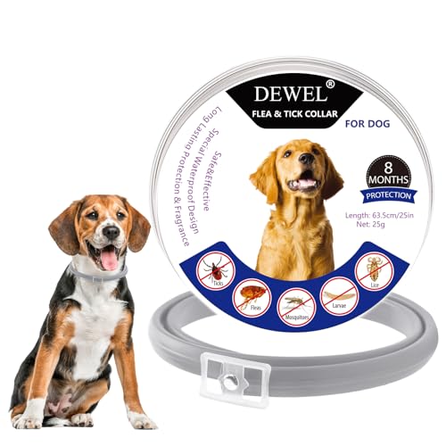 DEWEL Coleira anti-parasitas para cães grandes e médios, 63,5 cm, coleira protege cães, carrapatos, mosquitos, piolhos de 8 meses, coleira contra pulgas e carraças ajustável cinzento
