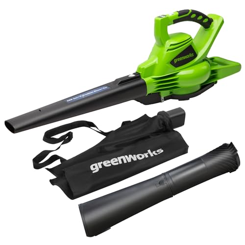 Greenworks Aspirador
