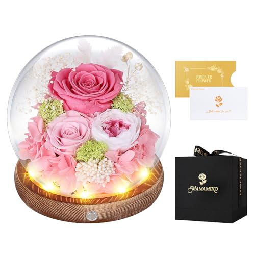 Rosa ethernet em cúpula de crista, LED, rosa preservada por 5 anos, flores eternas, ideias rosas naturais presentes para mulher, mãe, namorada, dia da mãe, dia dos namorados, aniversário (rosa)