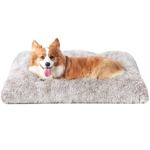 EHEYCIGA Pelúcia cama para cães médios 75 x 50 x 7,5 cm, colchão e colchão cão lavável, cama de gato macia para inverno, castanho