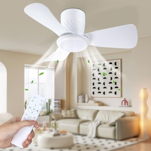 activeallbrite Ventoinha de teto, 15 W LED, motor DC de 20 W, 6 velocidades, ultra silencioso, função verão e inverno, temporizador, 3 temperaturas de luz, Ø 71 cm.