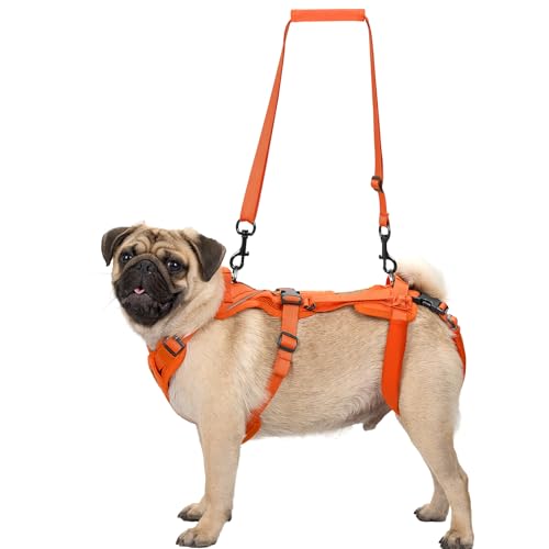OneTigris Arnês para cães, Hopper pequeno suporte arnês ajustável com 2 asas para apoio e reabilitação adequado para cão pequeno laranja S