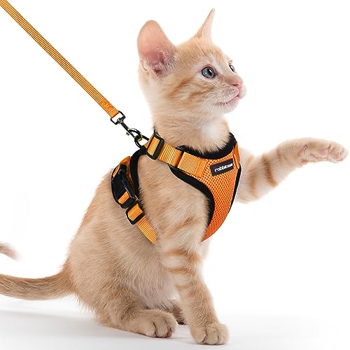 rabbitgoo Arnês para gatos anti-fuga com correia de 150 cm, arnês de gato ajustável refletor, colete de tecido de malha macio e respirável, arnês de gato pequeno para caminhar treino, XXS, laranja