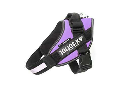 JULIUS-K9 16IDC Power Harness