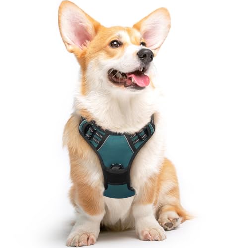 Eagloo Arnês cão médio, arnês antipuxões cão anti-escape, colete acolchoado ajustável, anéis de peito e costas, material respirável com fita refletor, exercitar correr, M verde escuro