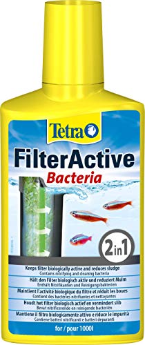 Tetra FilterActive 250 ml Contém bactérias iniciadoras vivas e bactérias de limpeza redutoras de lama