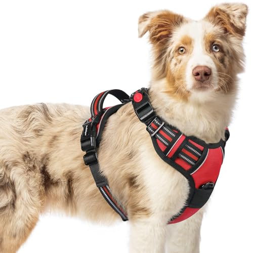 rabbitgoo Arnês médio para cão com 3 fivelas, libertação do pescoço, arnês ajustável com alça e clipe frontal, arnês antipuxões para cães refletor, para treino correr, vermelho, M