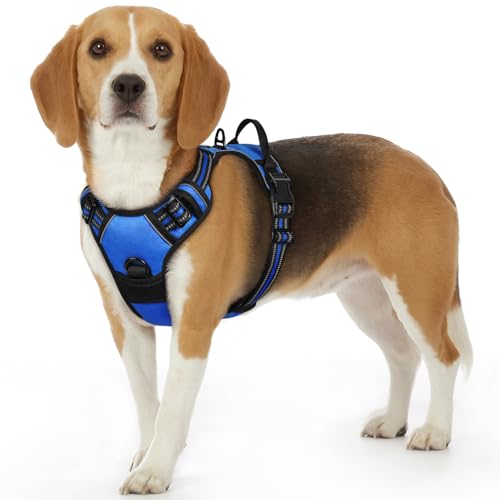 Eagloo Arnês para cães, colete anti-puxões confortável, com alça ajustável no pescoço e peito, apto para cães pequenos, material duradouro e respirável, com fita refletora, adequado para exercício no exterior, laranja