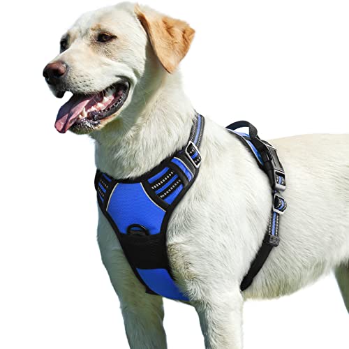 Eagloo Arnês para cães, colete anti-puxões confortável, com alça ajustável no pescoço e peito, apto para cães pequenos, material duradouro e respirável, com fita refletora, adequado para exercício no exterior, laranja