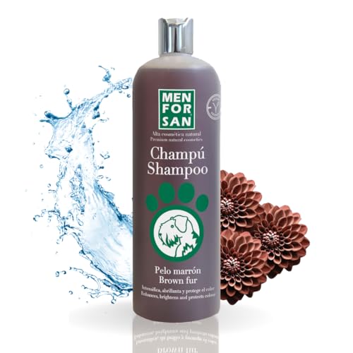 MENFORSAN Shampoo cães pelo castanho 1 l, intensificador de cor do cão