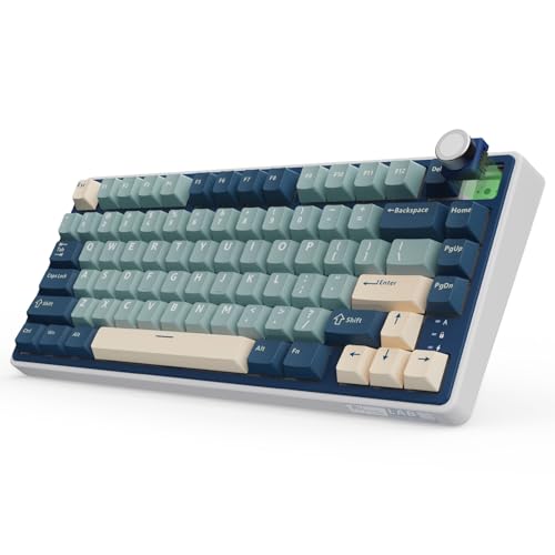 RK ROYAL KLUDGE R75 Teclado mecânico sem fio, 75% Gasket Bluetooth/2,4 G/USB-C, versão US teclado Gaming com teclas PBT, controlo de nob, retroiluminação RGB, hot-Swap (Interruptor cremes)