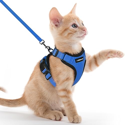 rabbitgoo Arnês para gatos anti-fuga com correia de 150 cm, arnês de gato ajustável refletor, colete de tecido de malha macio e respirável, arnês de gato pequeno para caminhar treino, XXS, azul