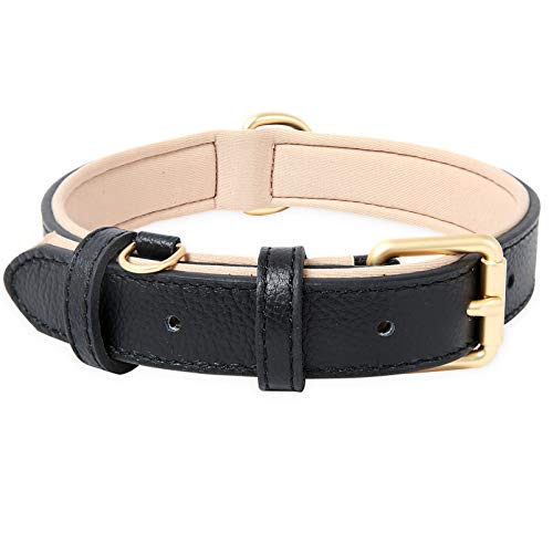 HEELE Coleira de cão, coleira de cão confortável e durável, ajustável e com acolchoado suave, coleira de couro cães de raça pequenos médios e grandes, preto, XS