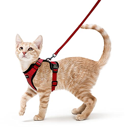 Rabbitgoo Peitoral para gatos e trela de 150 cm, ajustável, anti-puxões, confortável, material fácil de colocar e remover