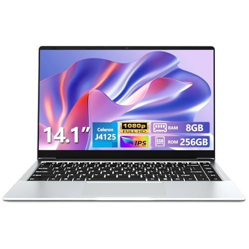 Ekonavi Computador portátil de 14,1 polegadas, Celeron J4125 PC portátil, 8 GB de RAM DDR4, 256 GB de SSD, ecrã IPS de 1920 x 1080, com mini HDMI, USB-3.0, WiFi, Bluetooth 5.0