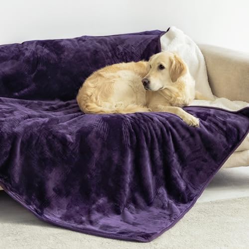 Dreamzie - Manta impermeável cão, 127 x 152 cm, manta cão médio reversível e lavável, para sofá e cama, manta cão pequeno em Sherpa - roxo