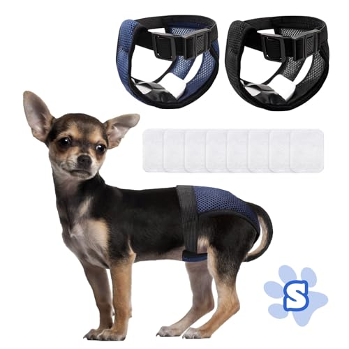 2 peças cuecas s menstruais, fraldas para cão feminino, fraldas para cães femininos, fraldas para cães femininos, cuecas para cães com céu feminino traz 8 toalhas sanitárias, reutilizável e