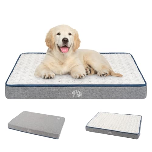 EMPSIGN Cama cão animais de estimação impermeável de dupla face (quente e frio), capa removível lavável na máquina, tapete de cama para cães grande para dormir (M, cinzento)