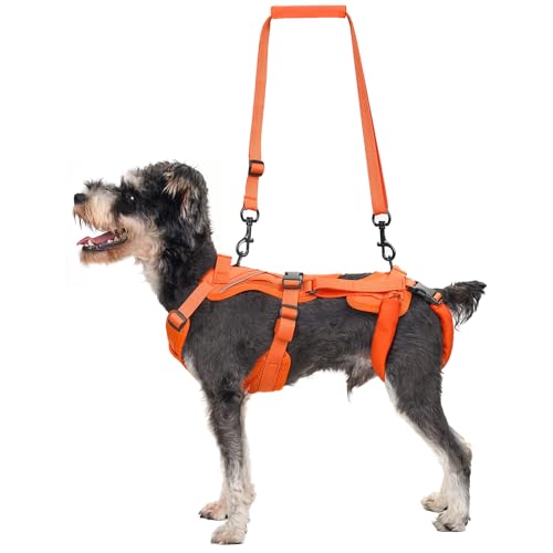 OneTigris Arnês para cães, Hopper pequeno suporte arnês ajustável com 2 asas para apoio e reabilitação adequado para cão pequeno laranja XS