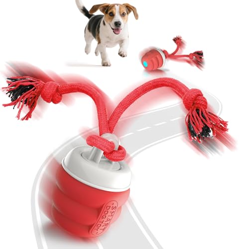 FLERDMAU Bola interativa cão – brinquedo interativo cão, bola de brinquedo interativo inteligente para animais de estimação, bola com corda cão, bola de animais de estimação de movimento automático