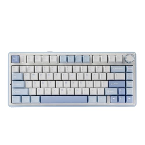 EPOMAKER x Sala de aula F75 teclado mecânico 75% sem fios para jogos, Bluetooth/2,4 GHz/USB-C, RGB, Gasket, intercambiável a quente, botão, acolchoado de 5 camadas, NKRO (Sea Salt Blue, Greywood