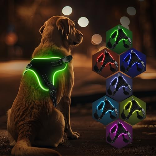 RUXAN Trela e colete LED recarregáveis para cães, 7 cores + almofadas ajustáveis - adequado para cães pequenos, médios e grandes