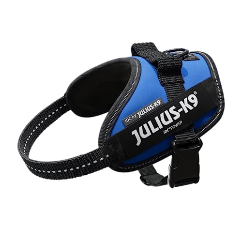 Julius-K9, Arnês IDC Power, tamanho: XS / Mini-Mini, azul