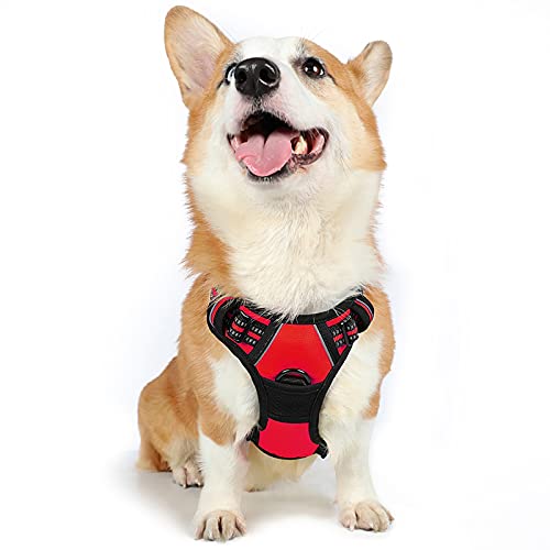rabbitgoo Arnês para cão