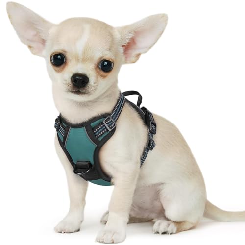 Eagloo Arnês para cães pequenos, arnês antipuxões cão anti-escape, colete acolchoado ajustável, anéis de peito e costas, material respirável com fita refletora, exercício correr, XS verde escuro