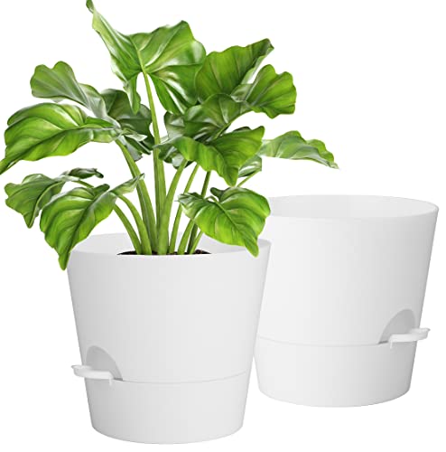 Vaso de 10 polegadas com prato, 2 frascos de plástico vasos decorativos interior com orifícios de drenagem, rega automática vasos para plantas flores, decoração de casa varanda jardim