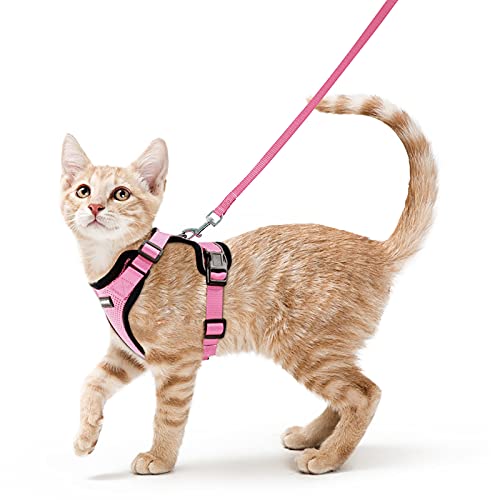 Rabbitgoo Peitoral para gatos e trela de 150 cm, ajustável, anti-puxões, confortável, material fácil de colocar e remover
