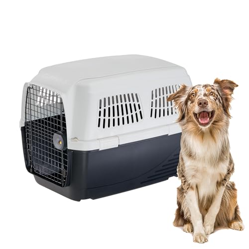 Ferplast Clipper 5, IATA, transportador para cães médios MAX 30 kg, transporte rígido, viagem animais de estimação carro avião trem, 87 x 57 x h 60 cm, porta de aço, fecho seguro