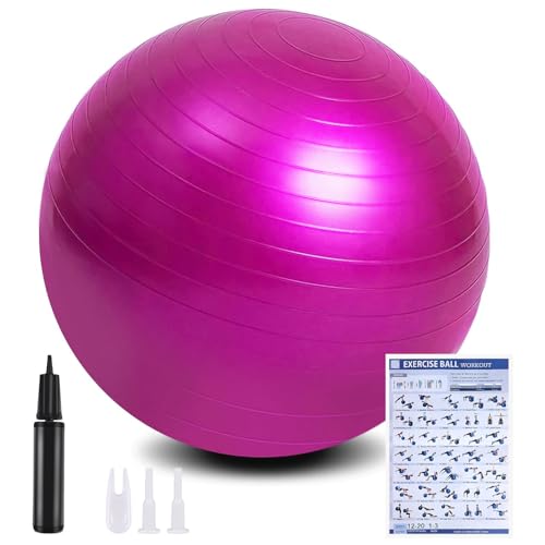 flintronic 55 cm/65 cm, bola de ioga, fitness, pilates, gravidez e sentar-se, futebol, equilíbrio, treino, 55 cm, 65 cm, insuflador incluído