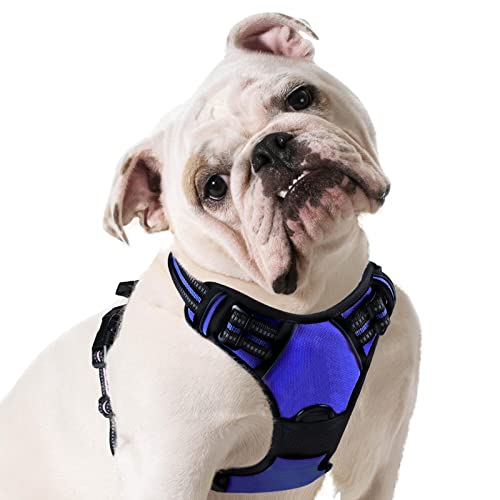 Eagloo Arnês para cães, colete anti-puxões confortável, com alça ajustável no pescoço e peito, apto para cães pequenos, material duradouro e respirável, com fita refletora, adequado para exercício no exterior, laranja
