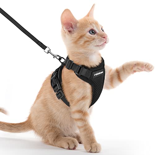 rabbitgoo Arnês para gatos anti-fuga com correia de 150 cm, arnês de gato ajustável refletor, colete de tecido de malha macio e respirável, arnês de gato pequeno para caminhar treino, XXS, preto