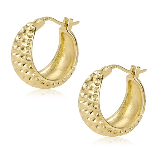 ALEXCRAFT Brincos de argola de prata de lei 925 para mulher, brincos de argola ovais de prata, hipoalergénicos, pequenos em forma de U, para presentes de joalharia