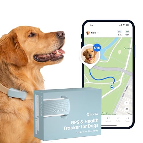 Tractive - GPS cães | 2025 Edição | Nº 1 do mercado | Localização em tempo real | Alertas anti-fugas, monitor de atividade, avisos de saúde | rastreamento de latidos (menta)