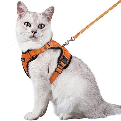 rabbitgoo Arnês para gatos anti-fuga com correia de 150 cm, arnês de gato ajustável refletor, colete de tecido de malha macio e respirável, arnês de gato grande para caminhar, treino, M, laranja